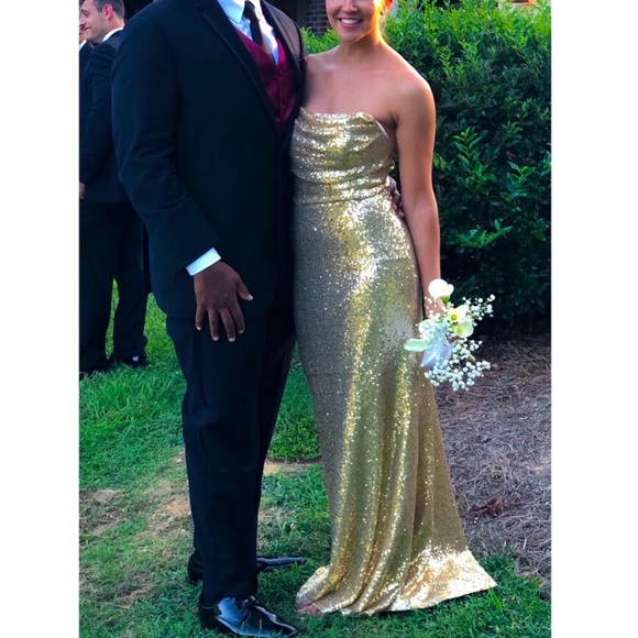 ANA SOPHIA gown - Picture 1 of 3
